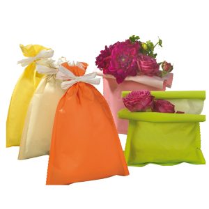 Busta regalo Spring - 20 x 32 cm - 45 gr - carta - 5 colori assortiti - PNP - conf. 50 pezzi